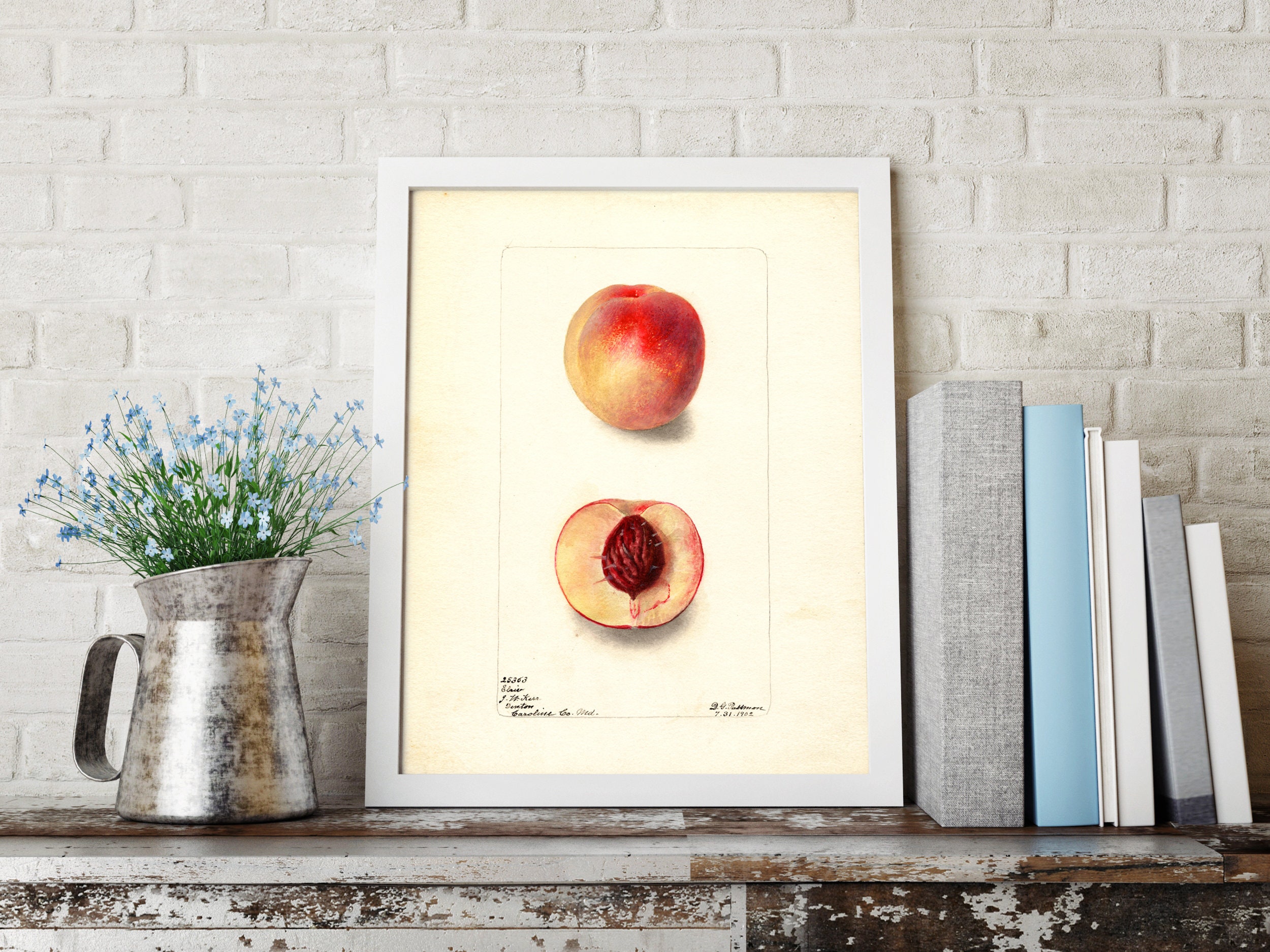 Vintage Peach Fruit Wall Hanging Farmhouse Decor Large Etsy