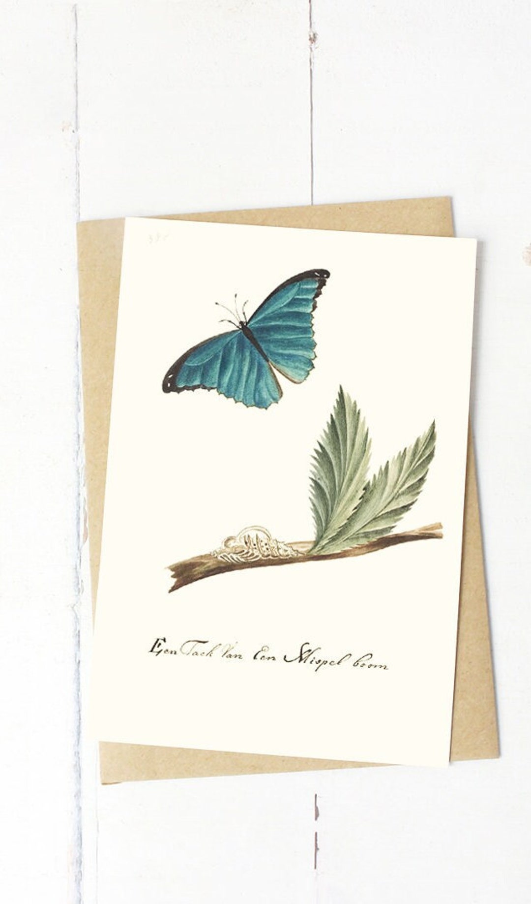 Butterfly Greeting Cards Set With Envelopes. Originally Published in ...