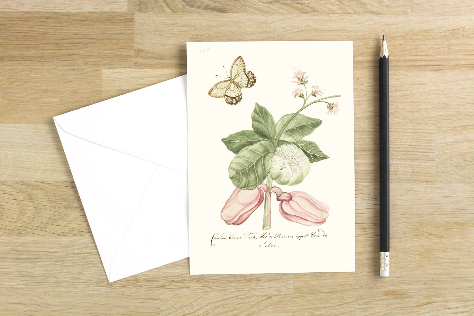 Butterfly Greeting Cards Set With Envelopes. Originally Published in ...