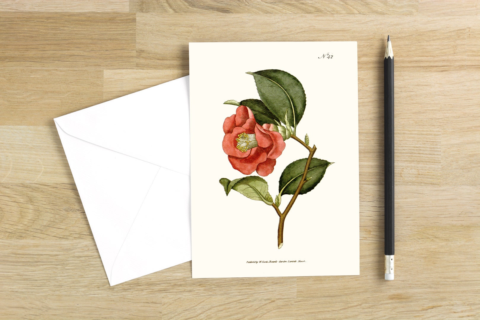 Papyrus Cards for sale Only 4 left at 60