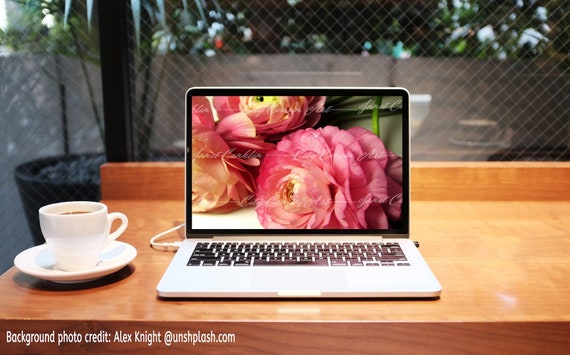 Pink Peony Cell Phone Wallpaper Floral Desktop Screensaver Etsy