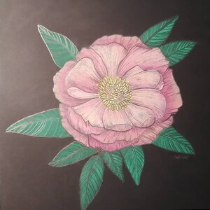 Original pastel oil drawing. Flower, Peony