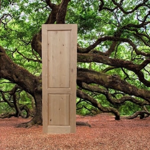 Solid Alder Two Panel Door