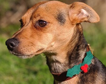 Hand Made Christmas Holly Dog Collar Accessory, Christmas Holly Felt Flower