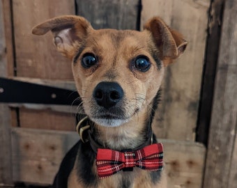 Handmade Tartan Dog Bow Tie