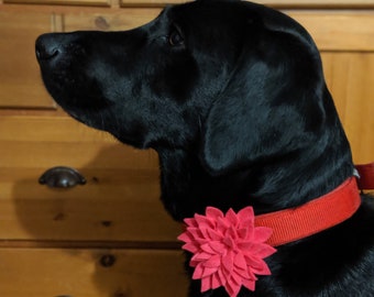 Hand Made Dahlia Dog Collar Accessory, Dahlia Felt Flower