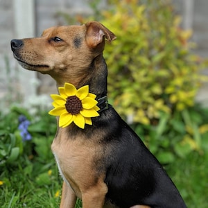 Hand Made Sunflower Dog Collar Accessory Etsy