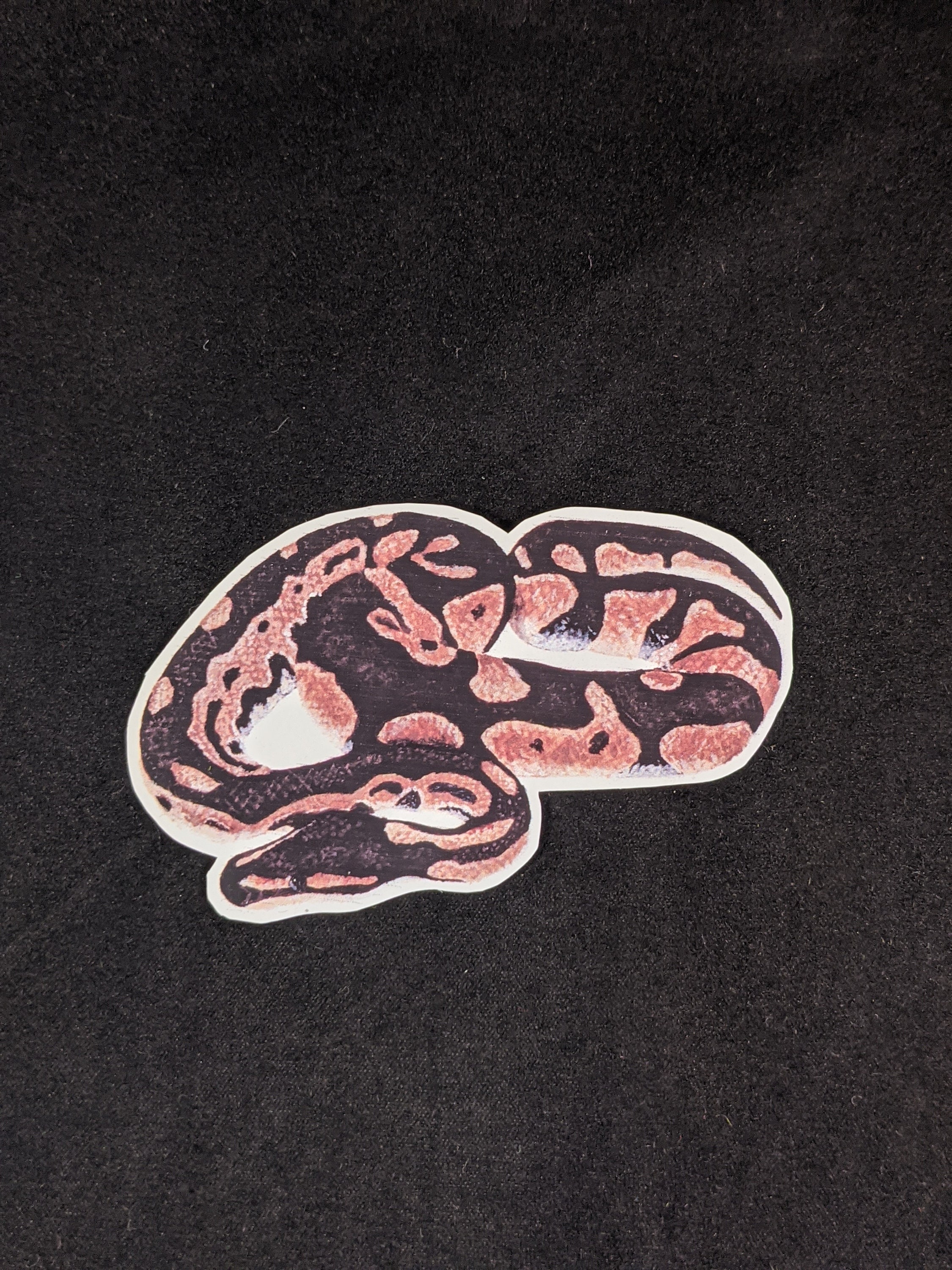 Snake Name Tag Sticker Royal Python Snake Vinyl Sticker Animal | Etsy