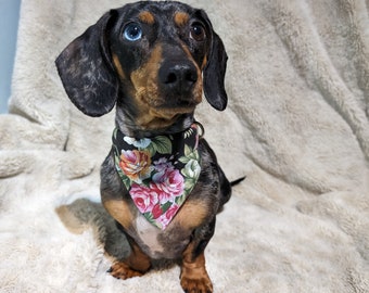 Floral Dog Bandanna Handmade Black with Pink and Orange Flowers