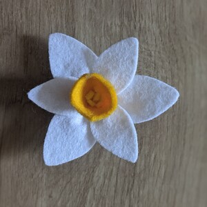 Hand Made Daffodil Dog Collar accessory, White or Yellow Daffodil image 5