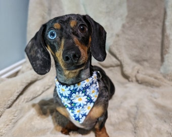 Daisy Dog Bandanna Handmade Floral Bandana