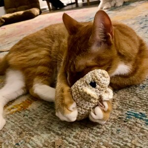 May include: An orange tabby cat with white paws and chest is lying on a patterned rug, cuddling a small, crocheted toy. The cat is curled up, with its head resting on the toy, creating a cozy and playful scene.