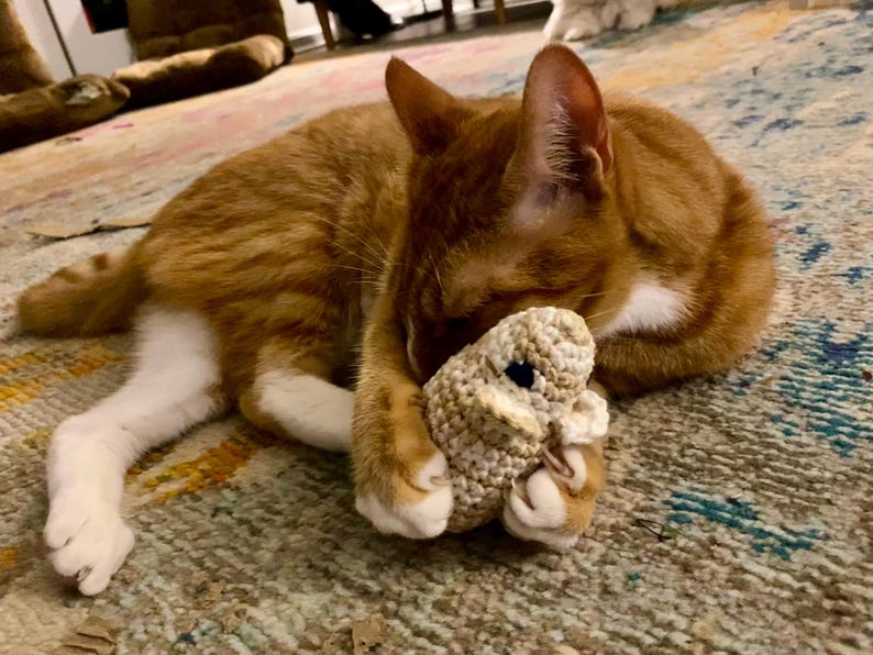 May include: An orange tabby cat with white paws and chest is lying on a patterned rug, cuddling a small, crocheted toy. The cat is curled up, with its head resting on the toy, creating a cozy and playful scene.