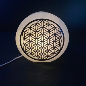 Selenite Crystal Lamp