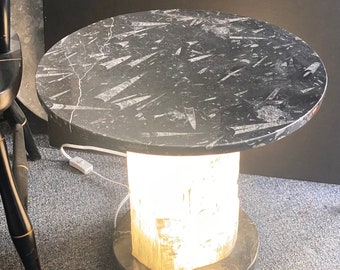 DESIGNER Selenite Lamp Fossil End Table