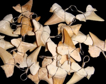 100pc Dealers Lot Bulk Price Wholesale Wire Wrapped Shark Teeth - Small Quantity 100