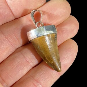 Mosasaur Tooth Pendant, Mens Pendant, Shark Tooth Pendant, Mens Necklace,  Free Chain