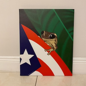Coqui Puerto Rico Canvas Print