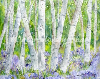 Birch Trees and Bluebells Watercolor Print by Shari Kuhn, Birch Tree Watercolor Print, Birch Tree Watercolor Painting, Tree Art, Floral Art