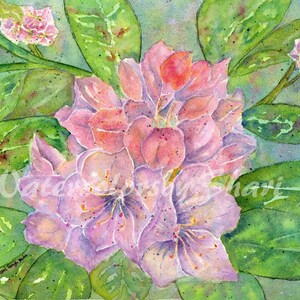 Pink Rhododendron Watercolor Print by Shari Kuhn, Watercolor Floral Home Decor, Art Gift Ideas, Watercolor Flower Wall Art, Flower Paintings