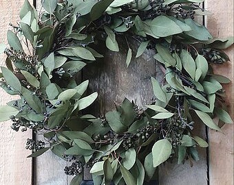 eucalyptus dried items