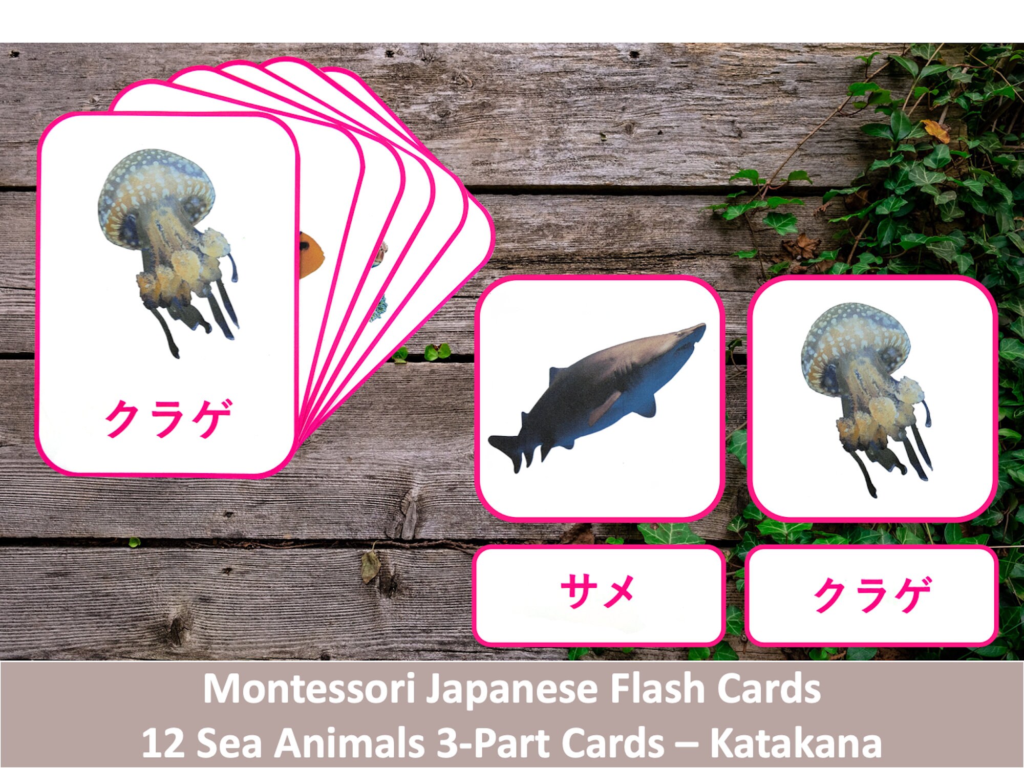Katakana Flash Cards Sea Animals 12 Cards Montessori Etsy Katakana Flash Cards Sea Animals 12 Cards Montessori Etsy
