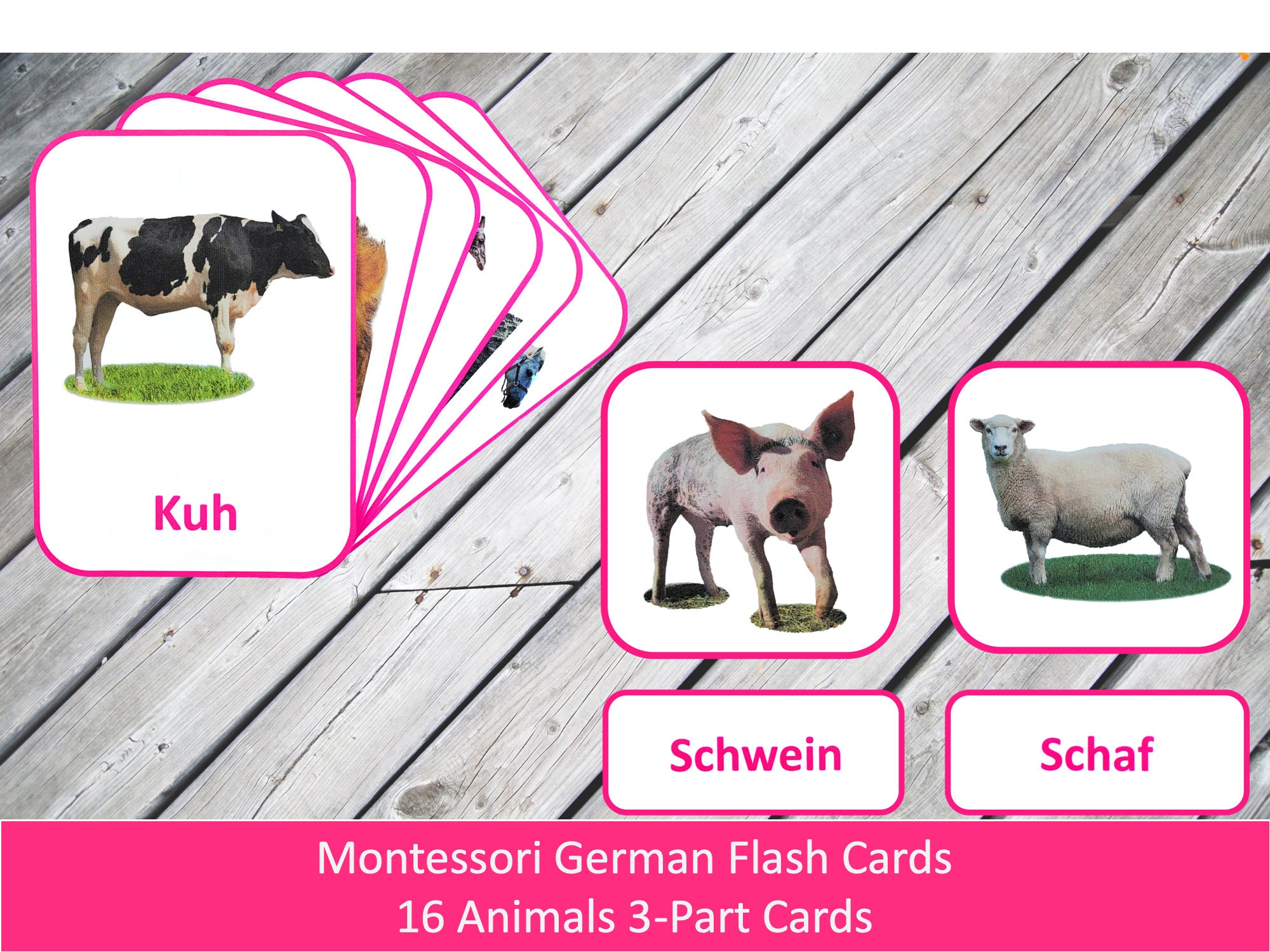German Flash Cards // Animals //16 Cards Montessori Etsy Nederland