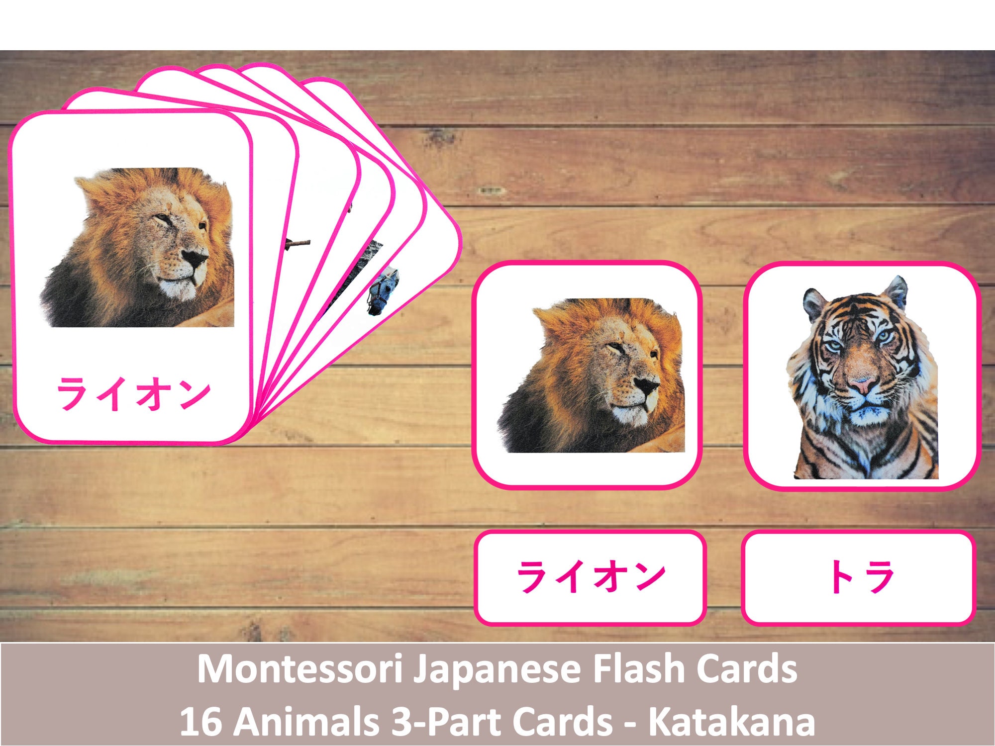 Katakana Flash Cards Animals 16 Cards Montessori Etsy Katakana Flash Cards Animals 16 Cards Montessori Etsy