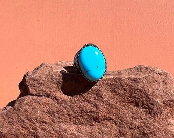 Native American turquoise stropdas tack