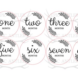 Baby Milestone Markers Monthly Digital Files SVG - EPS - Etsy