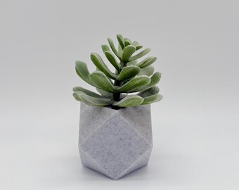 Geometric Air Planter, 3D Printed with Plastic