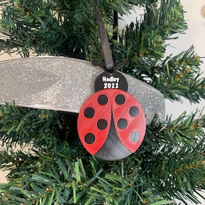 Customizable Ladybug Shaped Name Ornament, 3D Printed with Plastic