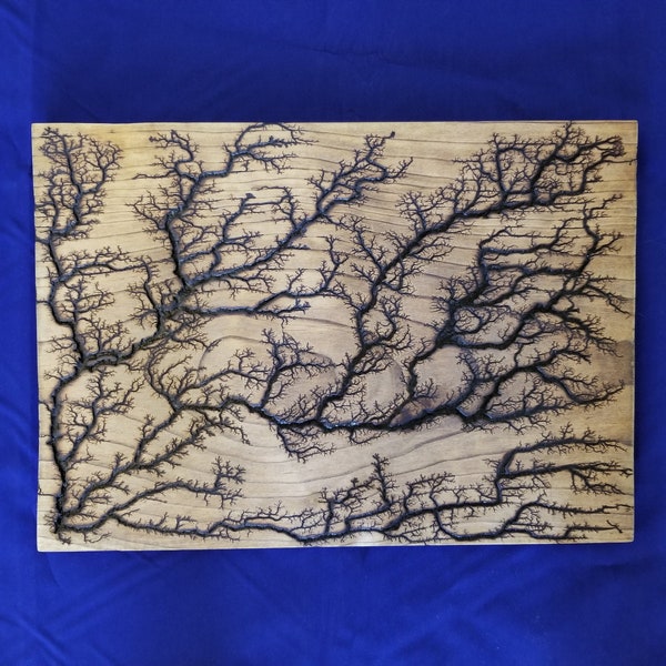 Growing- A Lichtenberg High Voltage Wood Burning