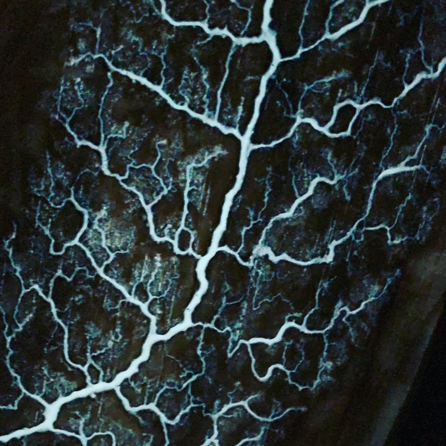 Portal A Lichtenberg High Voltage Wood Burning - Etsy