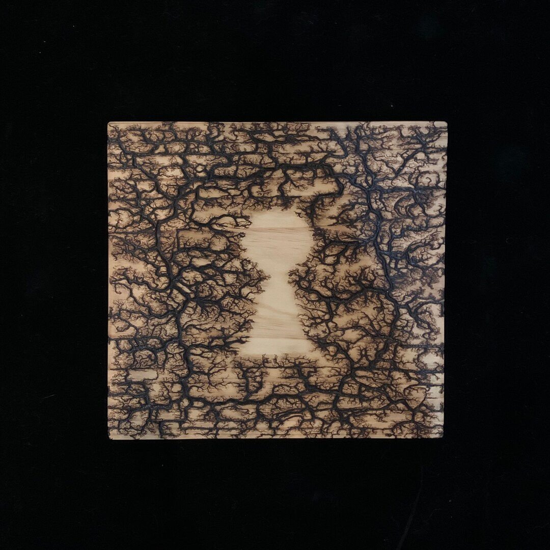 Secrets A High Voltage Lichtenberg Wood Burning - Etsy