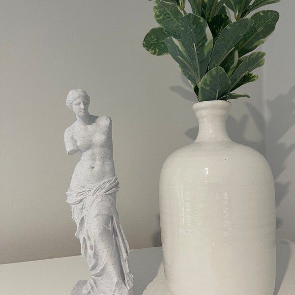 Venus de Milo Statue (3D Druck)