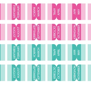 Passion Planner Large Monthly Tabs, Passion Planner Printable Stickers ...
