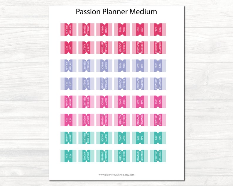 Passion Planner Stickers, Passion Planner Medium Monthly Tabs, Planner ...