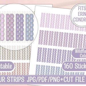 Hourly Time Strips Printable Planner Stickers/7am to 6pm/Time of day stickers, for 7x9 vertical Erin Condren planners/2023-2024 EC colors
