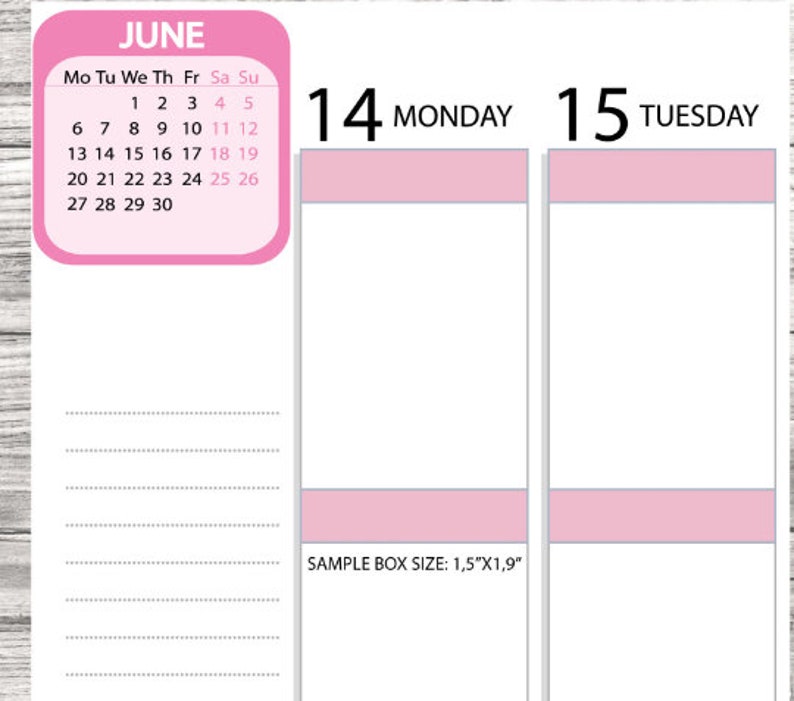 2025 Mini Calendar Planner Stickers/2025 Calendar Stickers/2025 Monthly