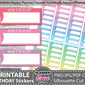 Birthday Planner Stickers, Printable Birthday Planner Stickers, Birthday Box Stickers, Birthday Reminder Stickers, Birthday Stickers, Icon
