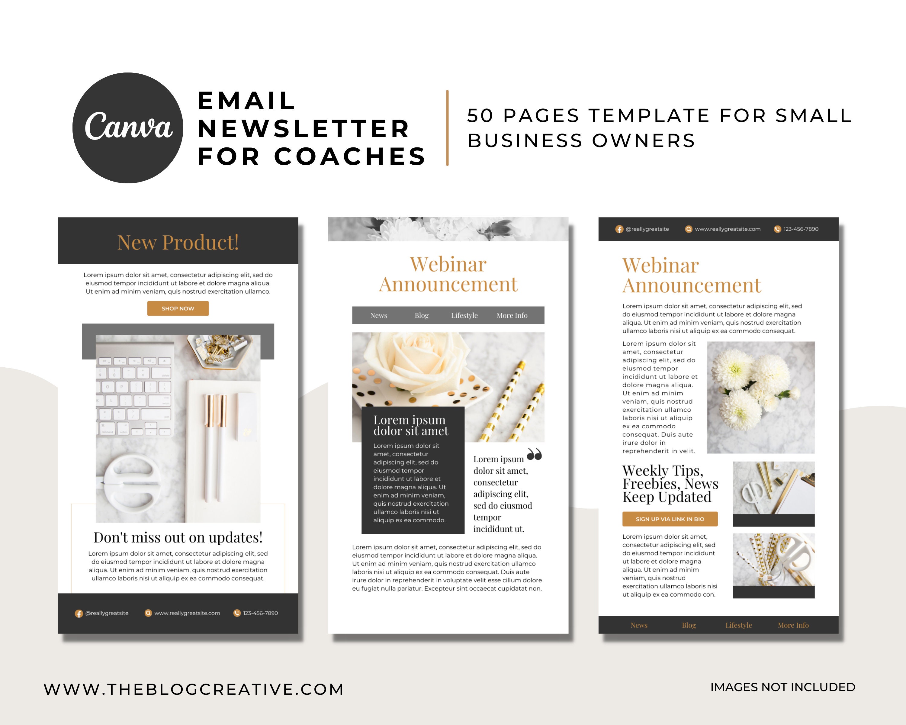 Minimalist Email Newsletter Canva Template, Coaching Business - Etsy