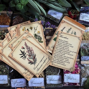 Kit de ervas para bruxaria e 40 cartas, 40 ervas Wicca, Ervas rituais mágicas, Livro das sombras, Grimório, Ervas verdes para bruxas, Conjunto de ervas, Suprimentos Wicca