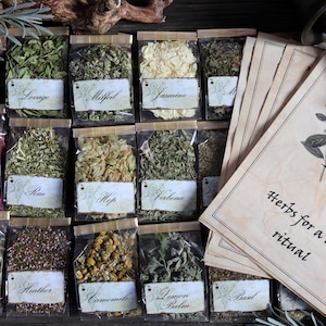 Kit stregoneria erba e carte, 20 erbe Wicca, Rituale d'amore, Libro delle ombre, Grimorio, Erbe streghe, Set erbe, strega verde, spezie magiche