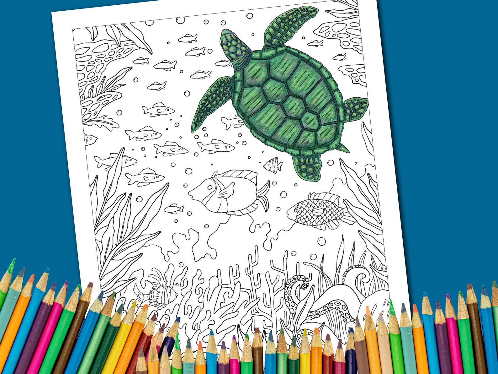Coral Reef Ocean Printable Coloring Page / Digital Adult - Etsy