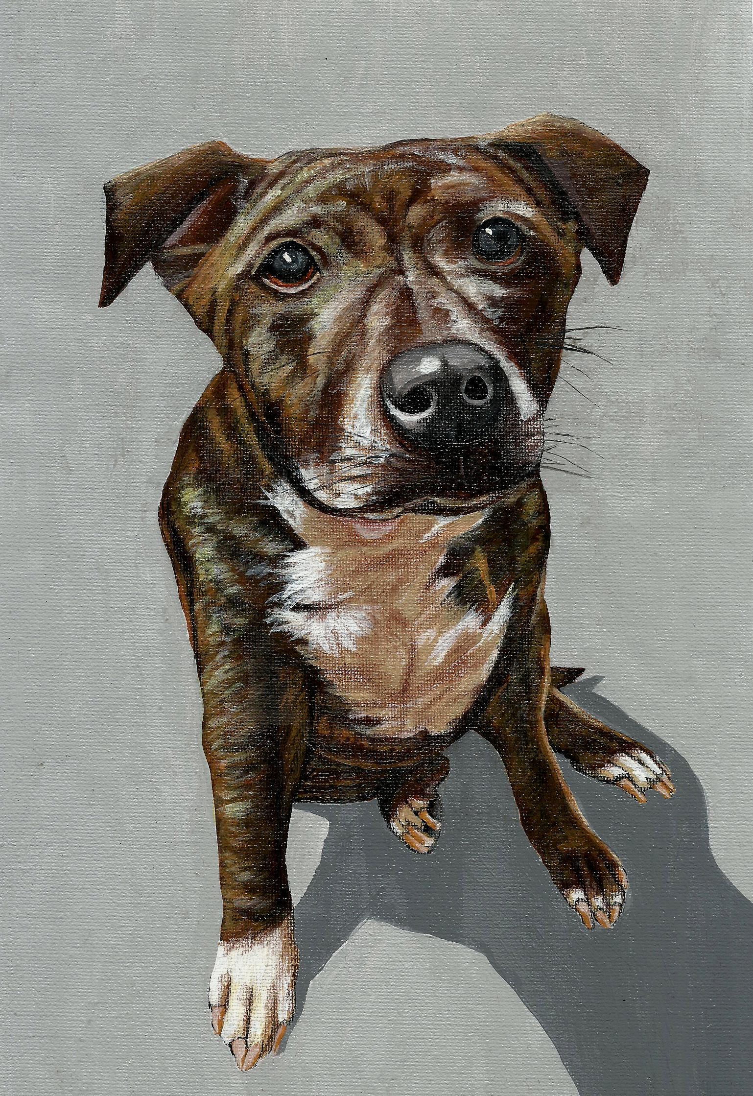 Custom Hand-painted Pet Portrait: Acrylic Dog Art From Photo - Etsy