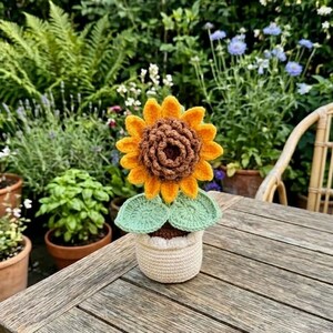 Puede incluir: Un girasol tejido a mano en una maceta pequeña. El girasol tiene pétalos amarillos y un centro marrón. La maceta es beige y las hojas son de color verde claro. El fondo presenta una mesa de madera y vegetación exuberante.