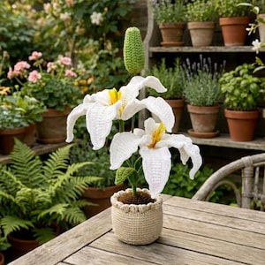 Puede incluir: Un arreglo floral blanco de ganchillo en una maceta beige. Las flores tienen centros amarillos y tallos verdes. La maceta está sobre una mesa de madera, con un fondo de jardín con plantas en macetas.