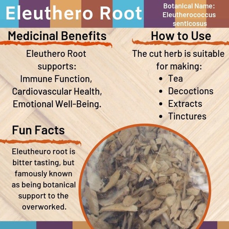 Organic Eleuthero Root/Siberian Ginseng Etsy