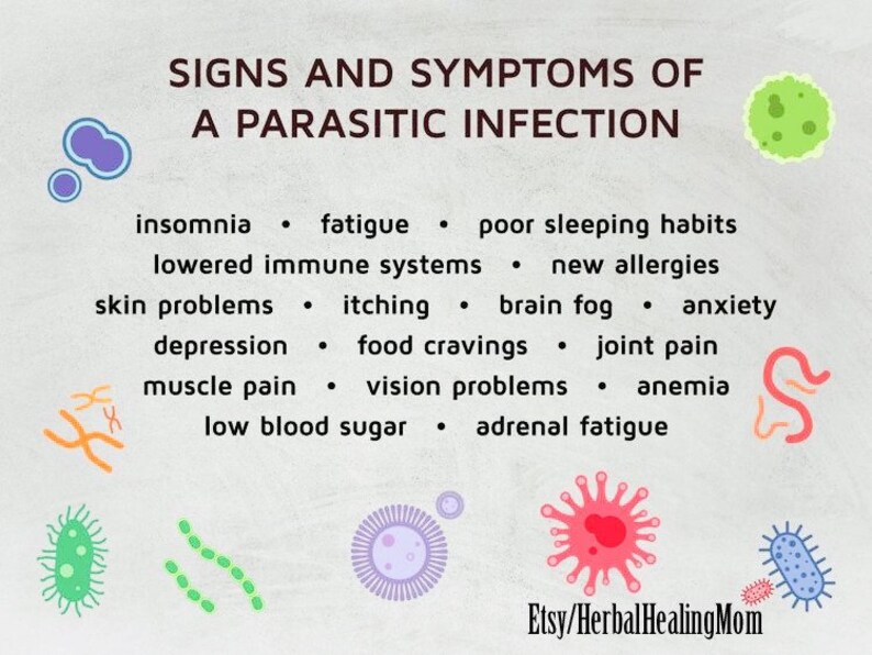 30 Day Full Body Parasite Detox With Essiac Detox Tea Etsy